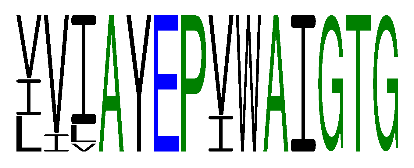 WebLogo for hhhsYaPh@shsos